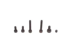 Carburettor Screw & Spring Set